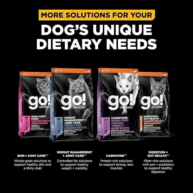 Go! Solutions Sensitivities Limited Ingredient Insect Grain-Free Dry Cat Food, Chicken-Free Kibble Made by Experts for Sensitive Stomachs & Food Allergies, for Adults, & Seniors, 12 lb Bag