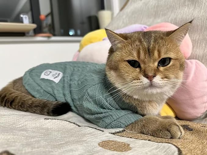 Kitten Clothes, Dog Cat Sweaters Pet Puppy Knitwear Costume Fall Winter Coat for Small Medium Cats Dog Girl Boy Fit 2.2-23lb