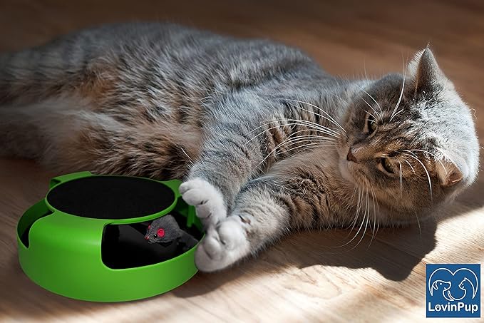 Interactive Cat Scratcher Toy – Manual Spinning Mouse for Natural Play & Claw Care – No Batteries, Quiet Design & Built-in Scratch Pad – 10" Spinning Cat Toy for Indoor Cats of All Ages