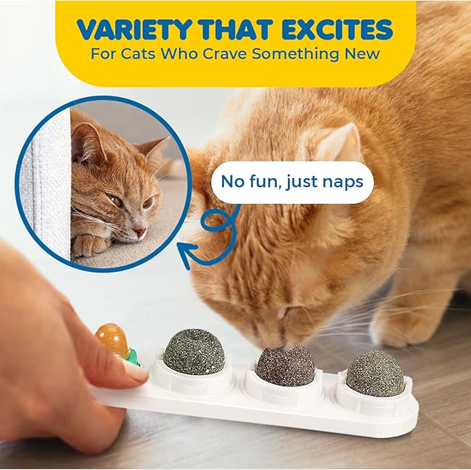 SunGrow Catnip Balls for Wall, 4 Slots - Mint, Wooden Vine, Insect Fruit, Cat Candy, Edible Kitty Chew Toys for Entertainment & Oral Care, Detachable and Rotatable Design, White, 8" x 2" x 1.5", 1 Pc 