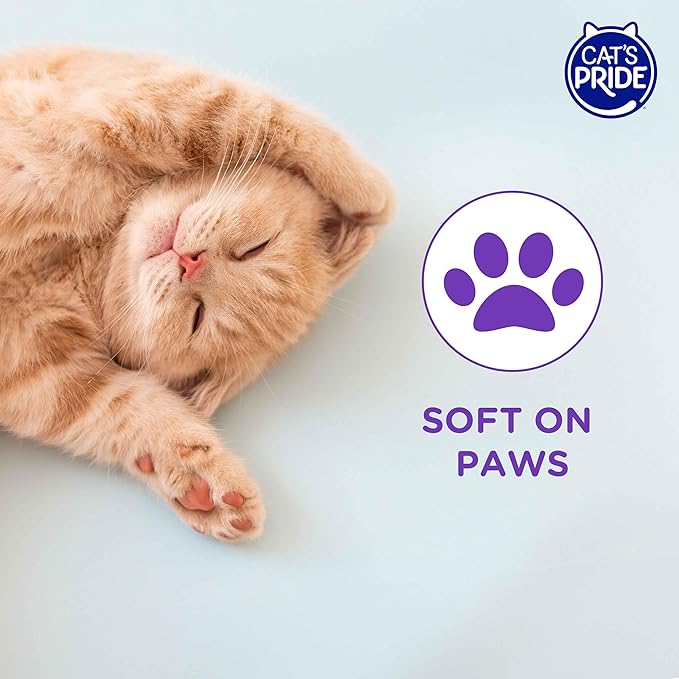 Cat’s Pride Micro Crystals Cat Litter, Non-Clumping, Scented, 30-Day Odor Control, 99% Dust Free, Lightweight, Soft on Paws, 6.5lb Bag