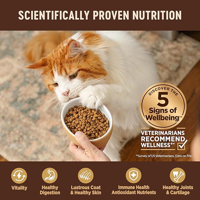 Wellness CORE Adult Dry Cat Food, Natural, Grain Free Kibble, Turkey and Duck Recipe, 11 lb Bag