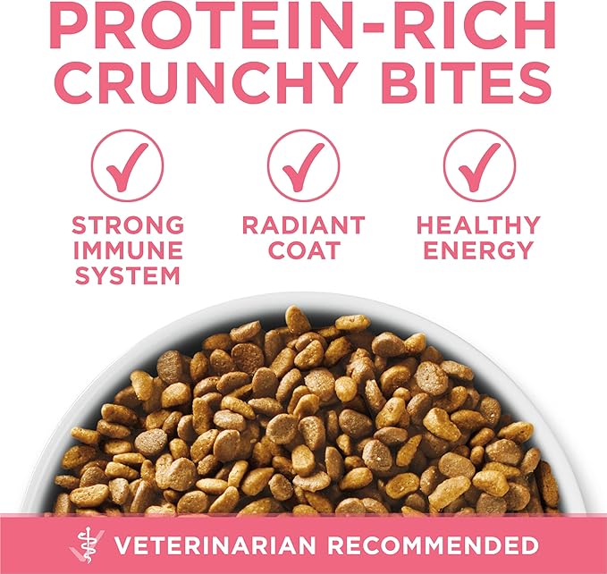 Purina ONE High Protein, Natural Dry Kitten Food, +Plus Healthy Kitten Formula - 3.5 lb. Bag
