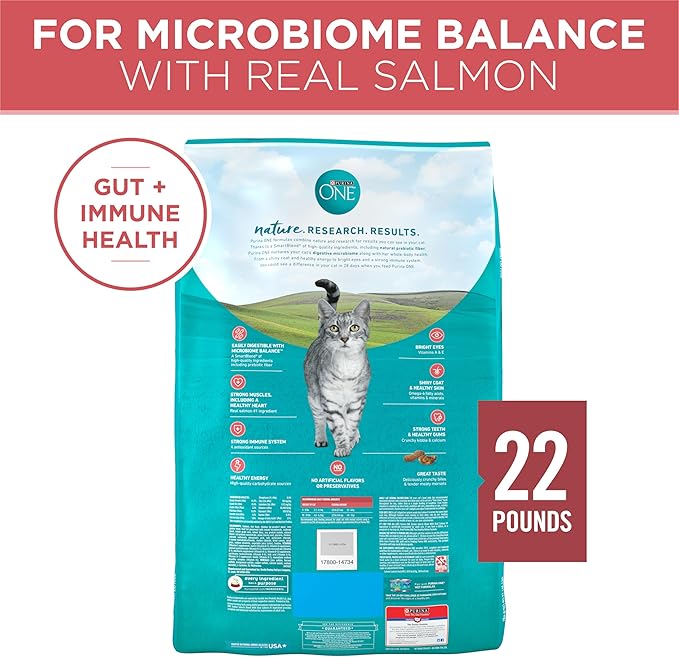Purina ONE Natural Dry Cat Food, Tender Selects Blend with Real Salmon - 22 lb. Bag