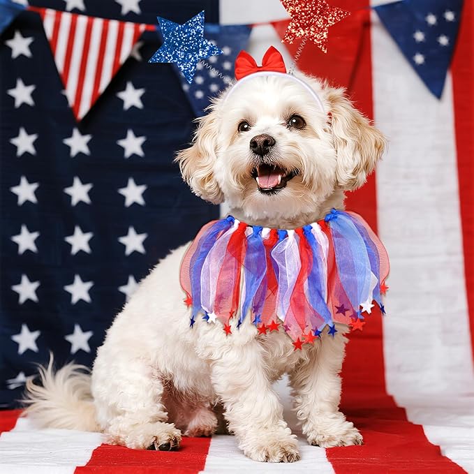 4th of July Dog Outfit, 2 Pcs Patriotic Red White Blue Dog Accessories, Fourth of July Pet Bow Headband and Star Tulle Collar Neck Ruff Set for Small Medium Dogs Cats
