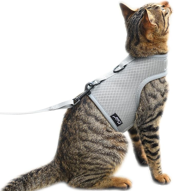 Cat Harness and Leash for Walking Escape Proof Breathable Mesh Fabric, Solid Grey, XX-Large, Adjustable Cat Walking Jackets, Padded Stylish Cat Vest