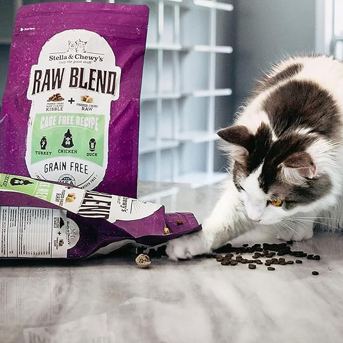 Stella & Chewy's Raw Blend Premium Kibble Cat Food – Grain Free, Protein Rich Meals – Cage-Free Poultry Recipe – 2.5 lb. Bag