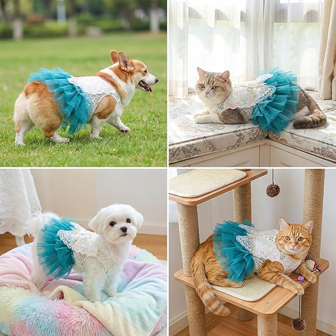 Fairy Dog Dress for Small Dogs & Cats, Lake Blue Princess Outfit with Embroidered Butterfly Wings, Lace Top & Soft Tulle Skirt, Snap Closure (S)