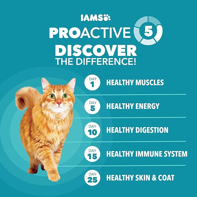IAMS Proactive Health Dry Cat Food, Indoor Weight and Hairball Care Cat Food Dry Recipe, with Salmon, 3.5 lb. Bag