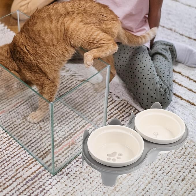 VICASKY Ceramic Elevated Cat Bowl Set with Thickened Gray Bowls and Sturdy Non-Slip Stand, Tilted Feeding and Watering Dishes for Indoor Cats and Kittens