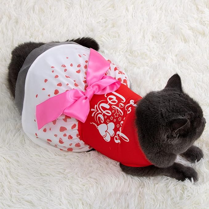 Valentine's Day Small Dog Dresses - Holiday Dog Dress Dog Clothes Bowknot Puppy Festival Skirts for Small Dogs Cats(X-Small,Red)