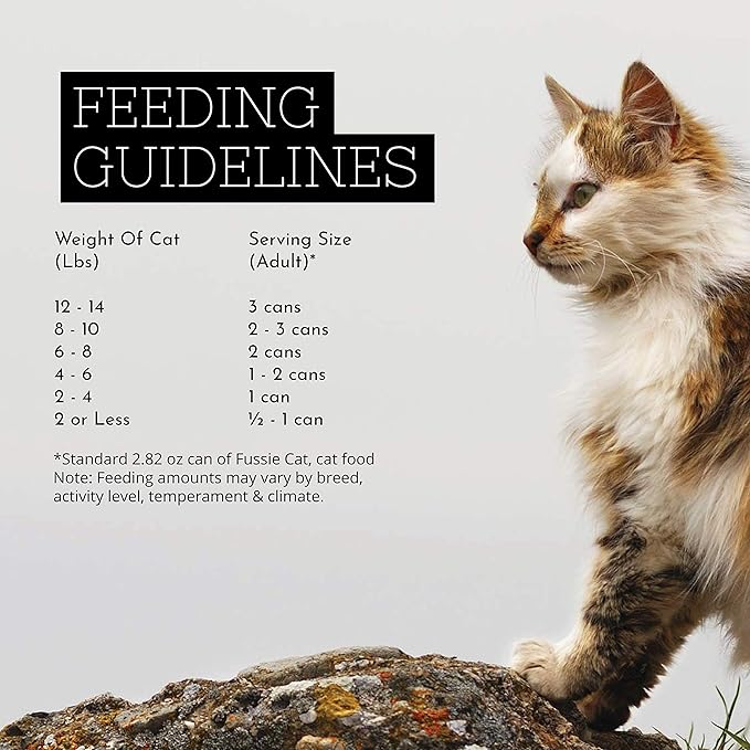 Fussie Cat Super Premium Chicken & Duck Formula in Gravy Grain-Free Wet Cat Food 2.82oz, case of 24