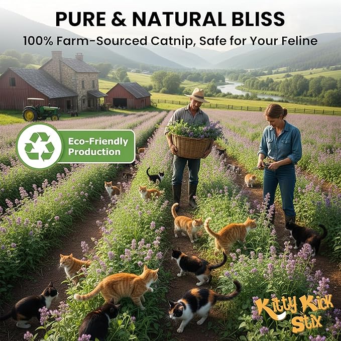Kitty Kick Stix Premium Bulk Catnip - Made in USA 100% Natural, Enticing Catnip Treats for Catnip Toys, Catnip Spray, & Cat Accessories. Safe & Non-Addicitve Catnip for Kittens (Single Jar)