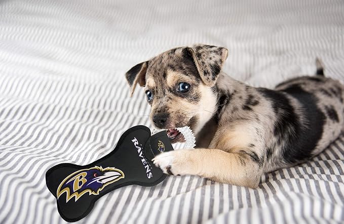 Pets First NFL Baltimore Ravens Dental Dog TUG Toy with Squeaker. Tough PET Toy for Healthy Fun, Teething & Cleaning Pet's Teeth & Gum., Team Color, one Size (BAL-3310)
