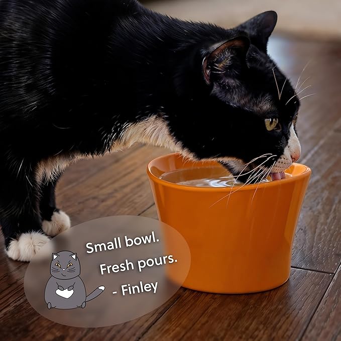 Elevated Cat Bowls for Water – Raised Bowl for Indoor Cats – Whisker & Neck Fatigue Shallow Cat Dishes – Vet-Recommended Height, Modern Pedestal Design – Non-Slip & Dishwasher-Safe – 8 oz White
