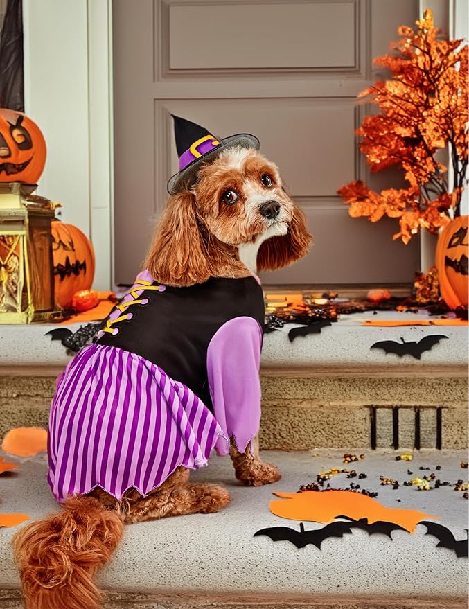 Rubies Witch Pet Costume for Dogs or Cats, XL