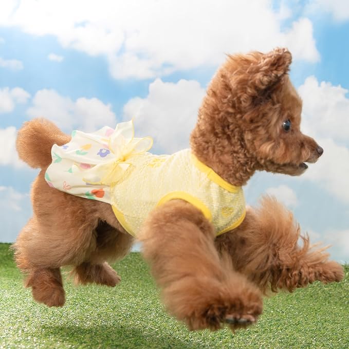 Pinkaholic New York Alice Dog One-Piece Dress Trendy Fashionable Cute Elegant Dog Apparel for Small Dogs, Yellow, Large