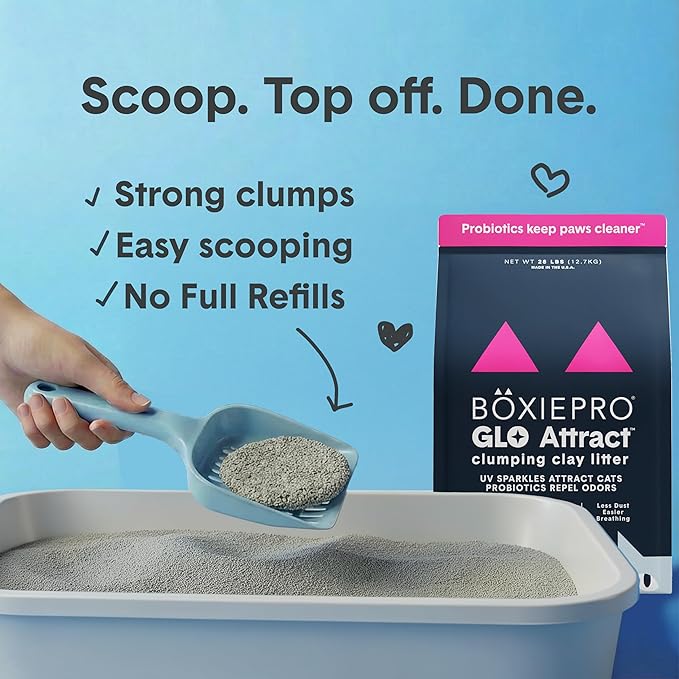 Boxie Glo Clumping Clay 30 Day Odor Control Cat Litter, 99.9% Dust-Free, Low Tracking, UV Light Attractant, 16 lb