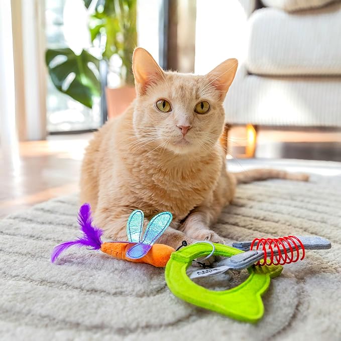 Kitty Connects Catnip Links Felt Rings Cat Toy| Modular Linkable Cat Toy Set with Plush Dragonfly & Spring | Interactive Catnip Play for Endless Fun