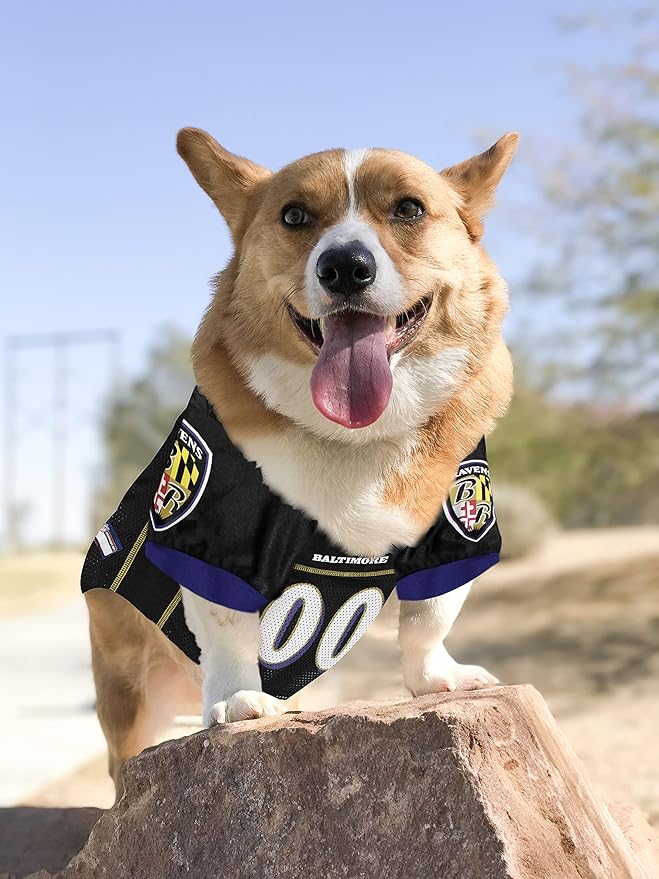 Baltimore Ravens Pet Striped Jersey