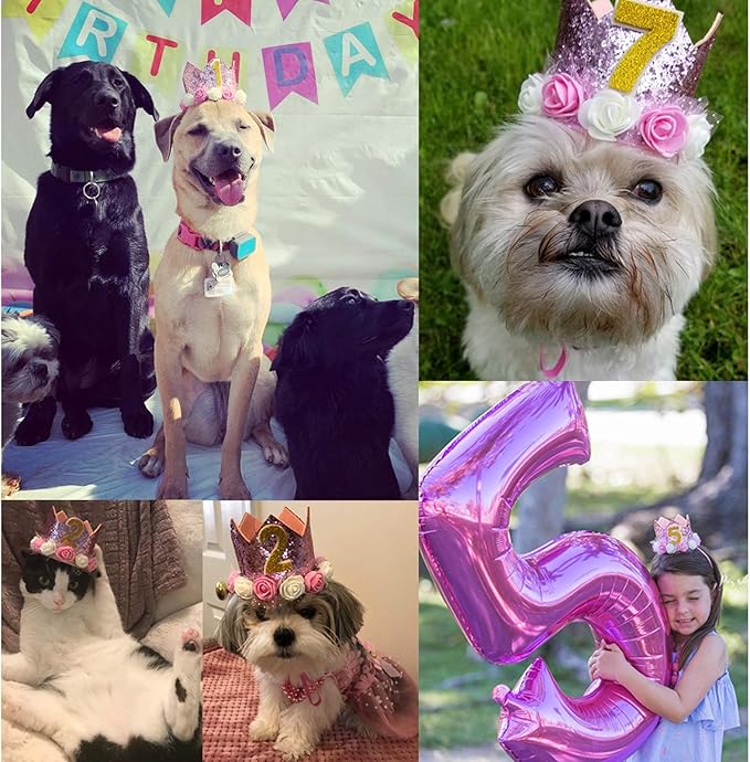 Dog Birthday Hat Adjustable Reusable Crown for Dogs Cats Puppy Kitten Birthday Party Headband with Numbers(Pink)