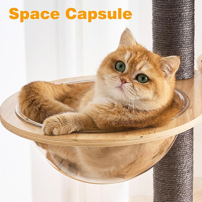 HITTITE Solid Wood Cat Tree Tower with Scratching Post, 61 Inches Tall Cat Towers with Capsule and Condo, Modern Cat Tower with Climbing Ladder and Removable Top Bed for Indoor Cats.Grey