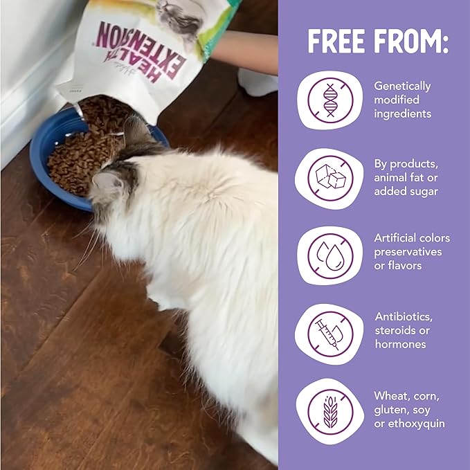 Health Extension Dry Cat Food, (15 lb / 6.8 kg) - Chicken & Brown Rice Recipe with Added Vitamins, Minerals, and Probiotics, Suitable for All Cats & Kittens