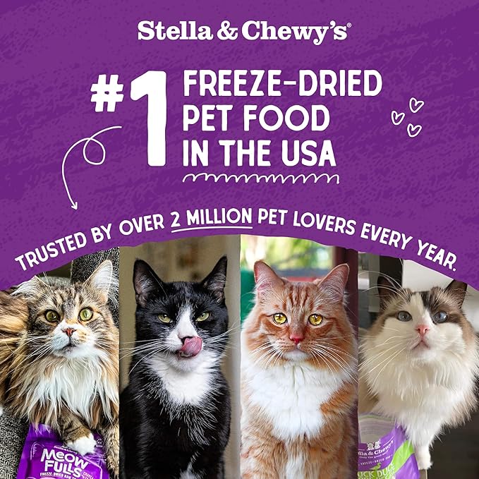 Stella & Chewy's Freeze-Dried Raw Cat Dinner Morsels - Premium Chicken Recipe with 98% Cage-Free Meat & Organs - Natural Grain-Free Cat & Kitten Food - Made in USA - 1 oz (Pack of 6)