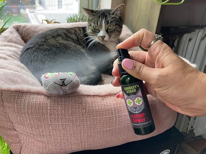 Smokey's Stash Catnip Spray 2 Ounce Bottle with Cat nip Filled Pre Roll Joints for Cats - 5 Joints per Pack