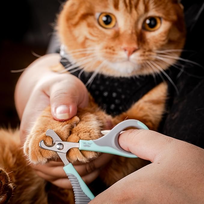Mr. Pen- Cat Nail Clipper, Stainless Steel, Professional Sharp Cat Claw Trimmer for Small and Medium Cats, Pet Nail Clipper with Sturdy Non Slip Handle