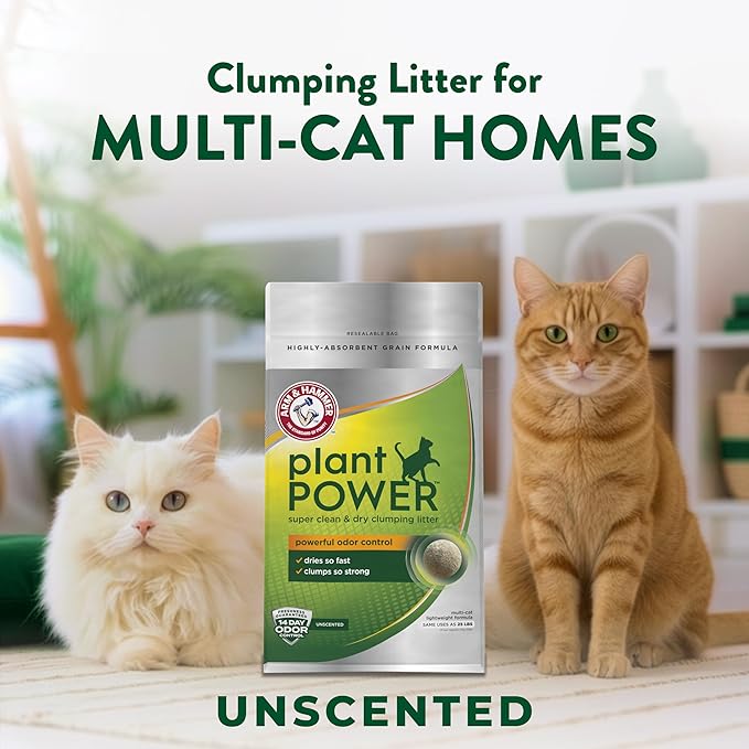 ARM & Hammer Plant Power Lightweight Plant-Based Clumping Cat Litter for Multi-Cat Homes, 14-Day Odor Control, Highly Absorbent Natural Grain Formula, Unscented 15 Lbs
