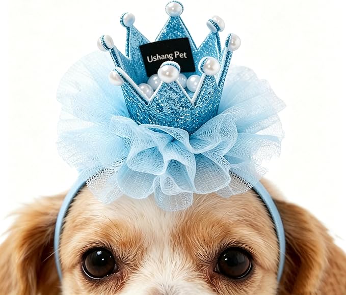 Cat Princess Costumes Cat Crown Hat & Lace Bandana Scarf Set, Puppy Party Hat for Small Dogs & Cats, Lace Outfit for Cats and Small Dogs Birthday Party (Blue)