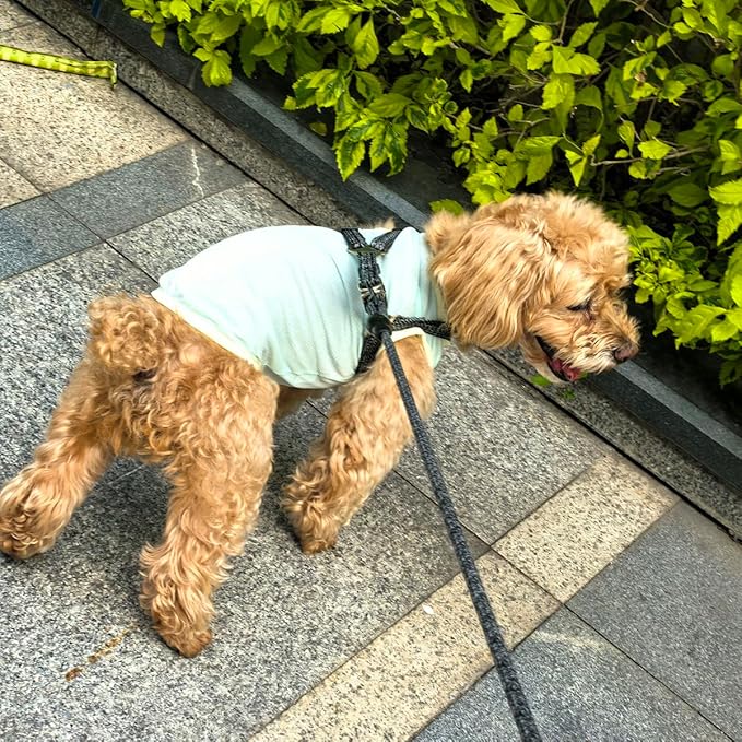 2Pcs Cooling Shirts for Small Dogs, Sleeveless Dog Vest, Lightweight Breathable Dog Summer Tank Top Sun Protection Shirts for Dogs Cats Pet Apparel (Yellow MintGreen, X-Large Size for 12-16.5lb Pets)