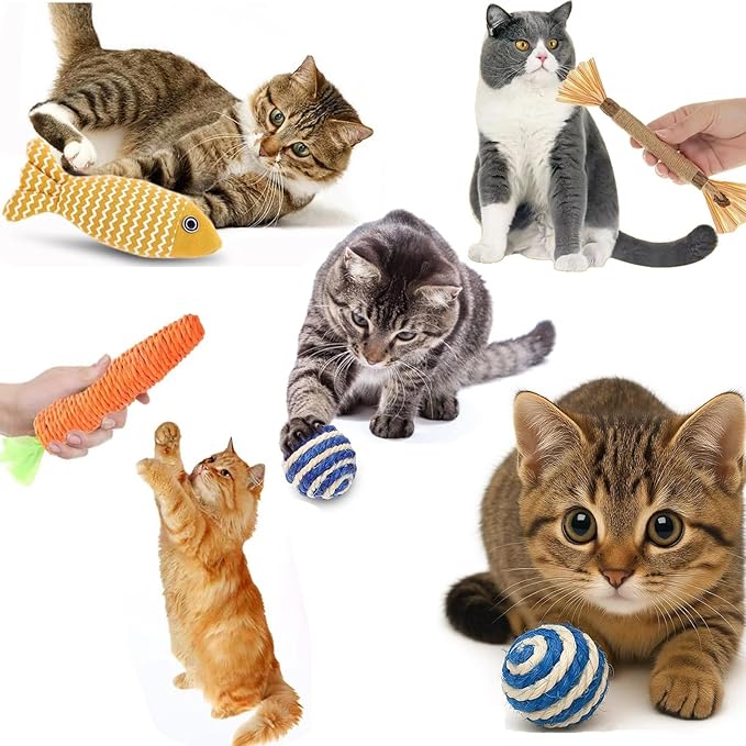6 in 1 Cat Toys Set with Sisal Rope, Interactive Feather Ball for Indoor Cats, Catnip Carrot & Fish with 2 Balls, Natural Kitten Teething Chew Toy for Self Play, Exercise