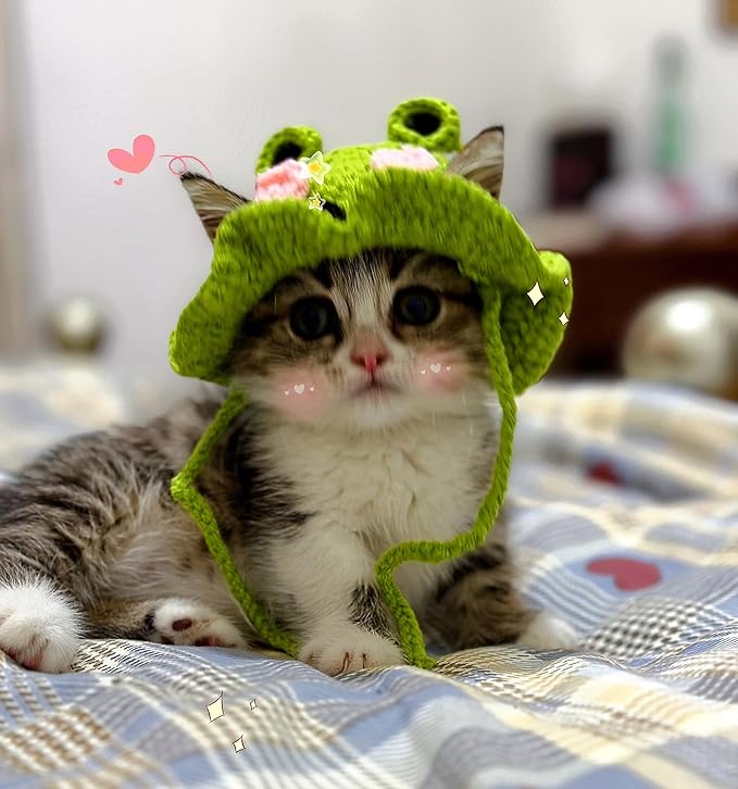5 Pieces Cat Hat Adorable Cat Costume Outfit Bunny Hat with Ears Funny Mane Hat for Cats and Small Dogs Kitten Puppy Party Costume Accessory Headwear (Spider-Beer-Flower-Punk-Frog)