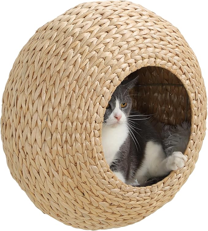 PawHut Cat Wall Furniture, Wall Mounted Cat Condo with Washable Cushion, Cat Wall Shelf for Indoor Cats Kittens, Natural Wood