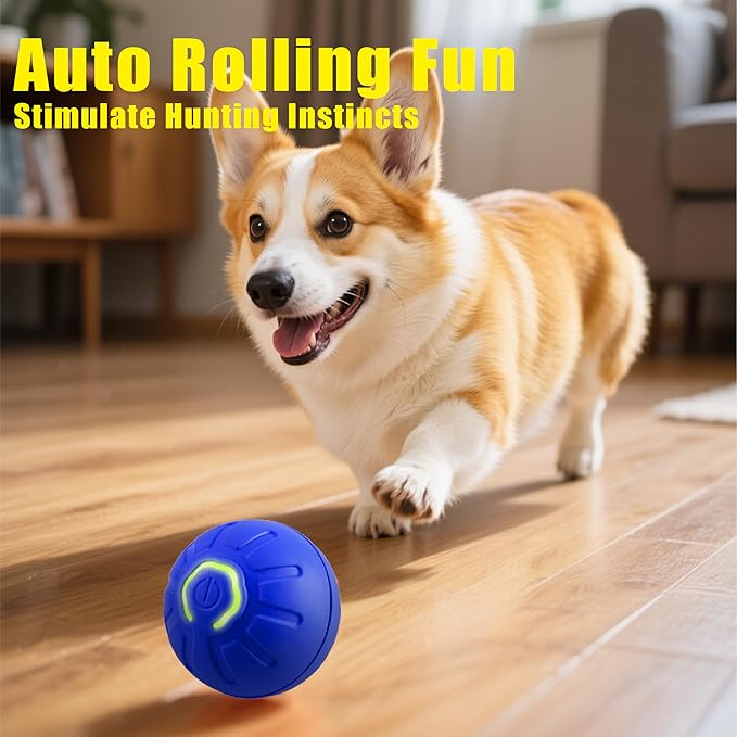 Self-Moving Dog Toy Ball – Auto Roll & Motion-Activated Play | Chew-Resistant | USB Rechargeable | for Puppies to Medium Dogs (Orange,2in Small)