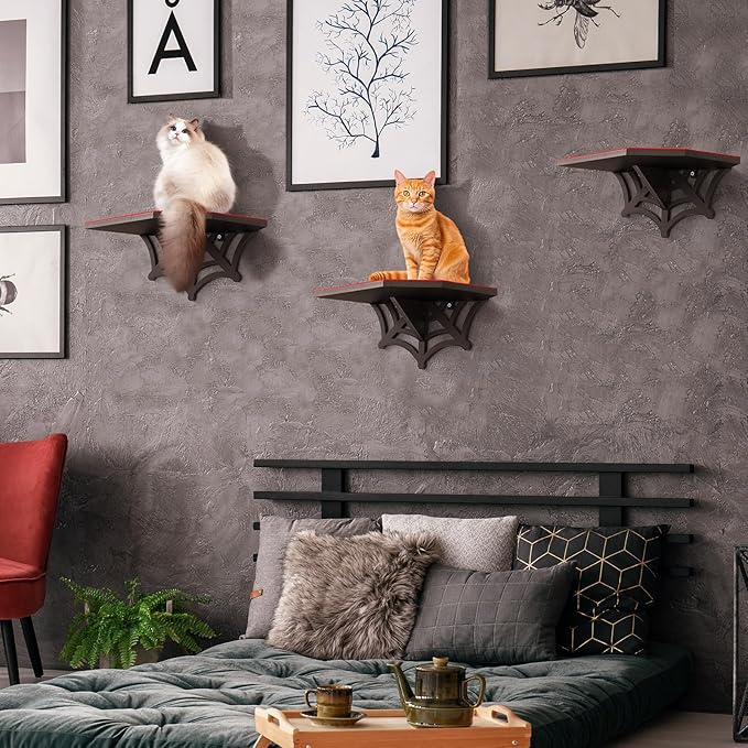 Gemscream Gothic Wall Mounted Halloween Shelf Coffin Spider Web Style Cat Tree Wall Load Bearing up to 30 Lbs/ 14 kg Black Cat for Indoor