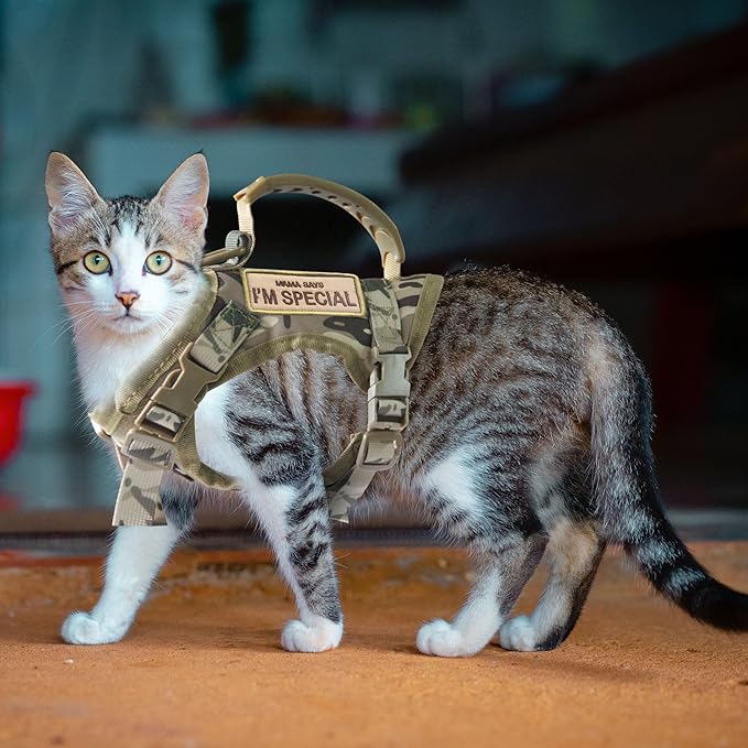 AIWAI Tactical Cat Harness for Walking Escape Proof, Adjustable Pet Vest Harness, Soft Mesh with Control Handle for Large Cat Small Dog, Gift with Patch (Camouflage, cat Harness only)
