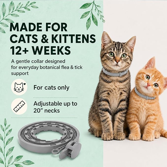 Flea Tick Prevention Collars for Cats: Essential Oil-Based Collar for 4 Month Support - Natural Fleas Ticks Breakaway Collar for Large & Small Cat, Outdoor Fleas Ticks Control for Kittens
