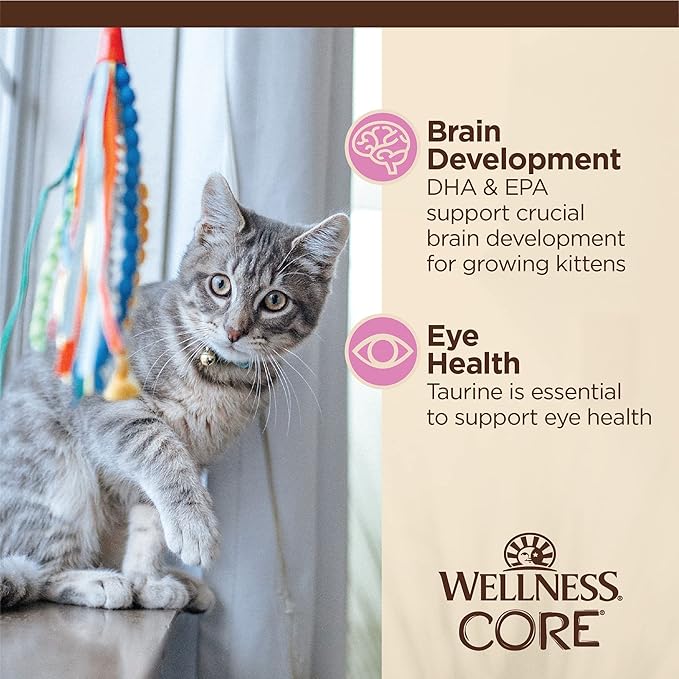 Wellness CORE Tiny Tasters Pate Kitten Wet Cat Food, Natural, Protein Rich, Grain Free, Chicken Recipe, 1.75 oz, Pack of 12 Pouches