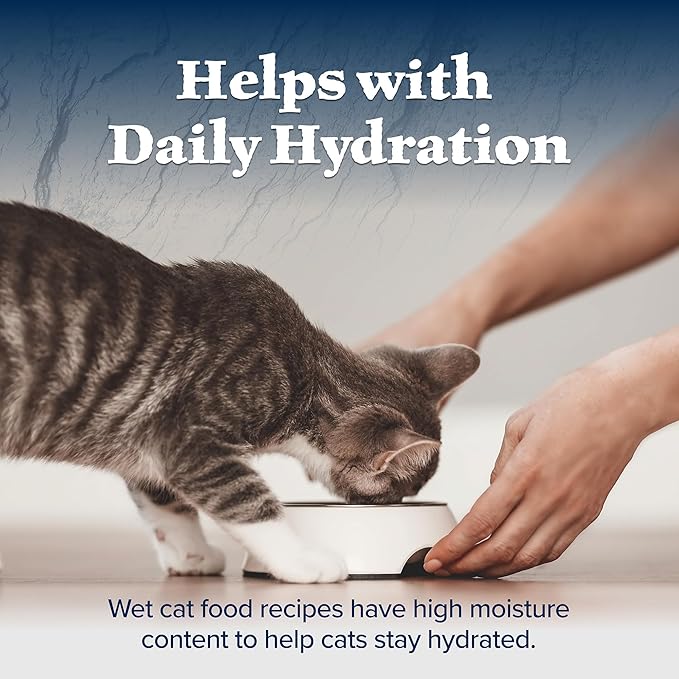 Blue Buffalo Wilderness Natural High Protein Grain Free Wet Food for Kittens, Salmon Pate, 3-oz, 24 Count