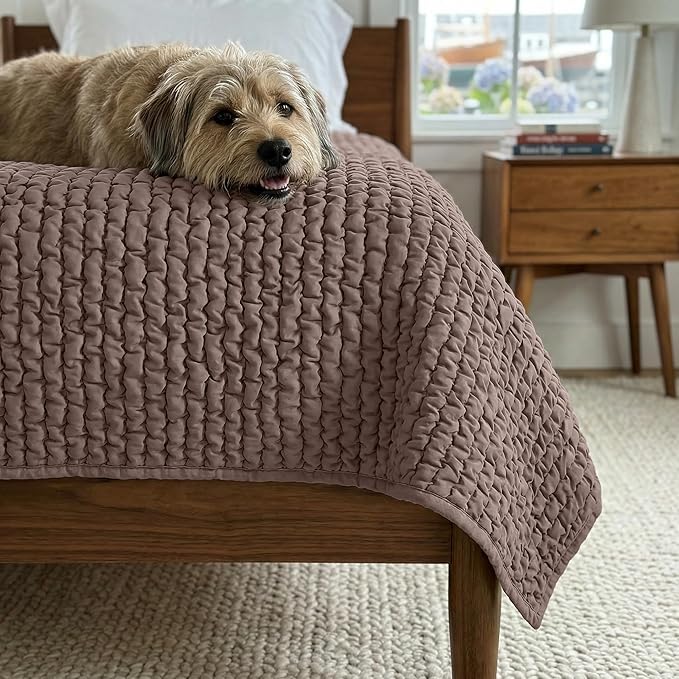 PAULATO BY GA.I.CO. Waterproof Blanket for Bed – Twin Size Cover for Incontinence – Machine Washable Stain-Resistant Protector for Couch and Sofa – Absorbent Pad - Marsala
