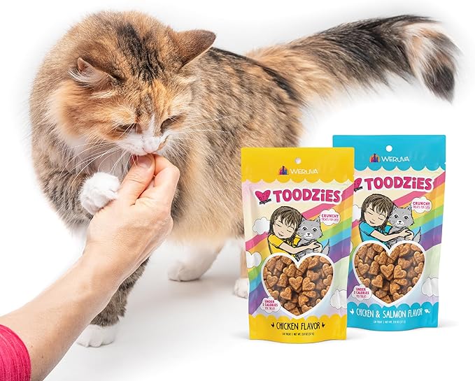 Weruva BFF Toodzies, Salmon Crunchy Cat Treats, 2oz Bag (Pack of 2)