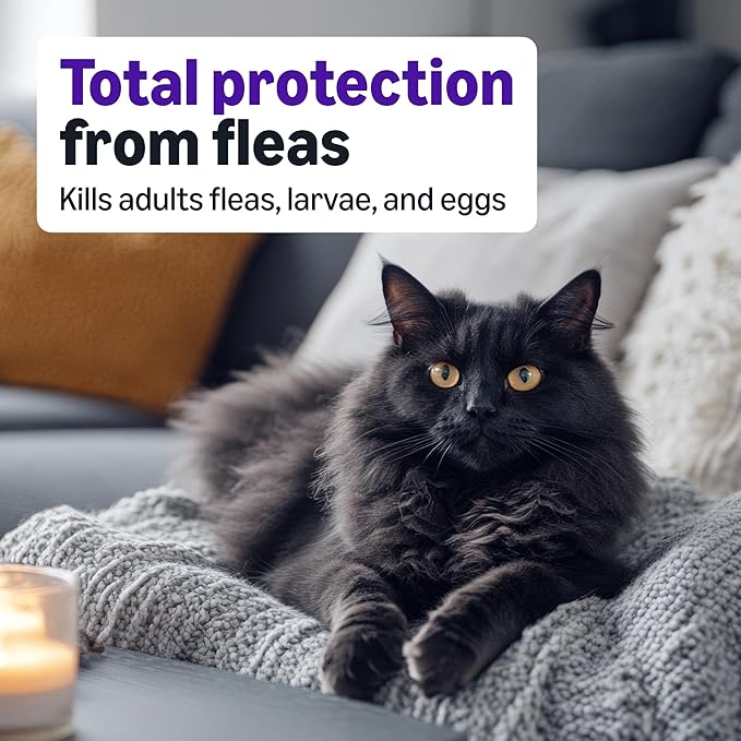 Amazon Basics Preventative Topical Flea Treatment and Prevention for Large Cats (Over 9 Pounds), Kills Fleas Within 12 Hours, 6 Count