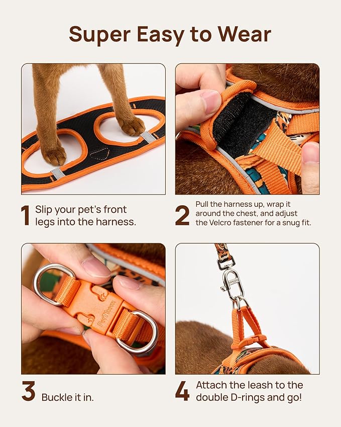 PetThem Upgraded Cat Harness and Leash Set - Step-in Escape Proof Adjustable Cat Harness, Comfortable Soft Lightweight, Reflective Harness for Walking, Travel, Camping (King of The Jungle, S)
