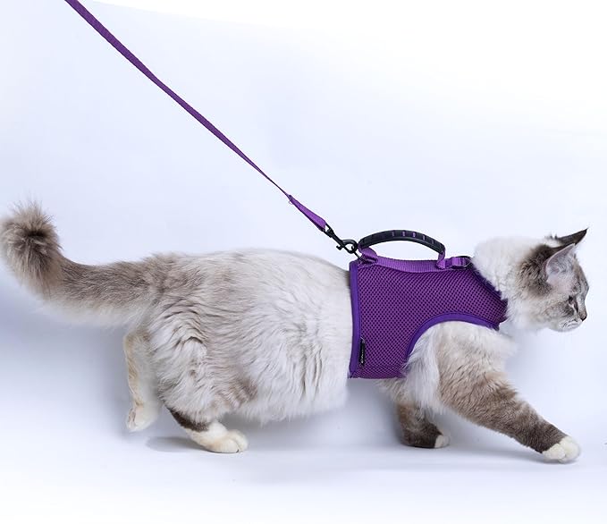 Cat Harness and Leash for Walking Escape Proof Breathable Mesh Fabric, Purple, Medium, Adjustable Cat Walking Jackets with Handle, Padded Stylish Cat Vest