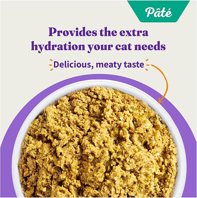 Halo Wet Cat Food Salmon Recipe, Grain Free Wet Cat Pate, Canned Cat Food for Extra Hydration, 5.5 Oz Can (Pack of 12)