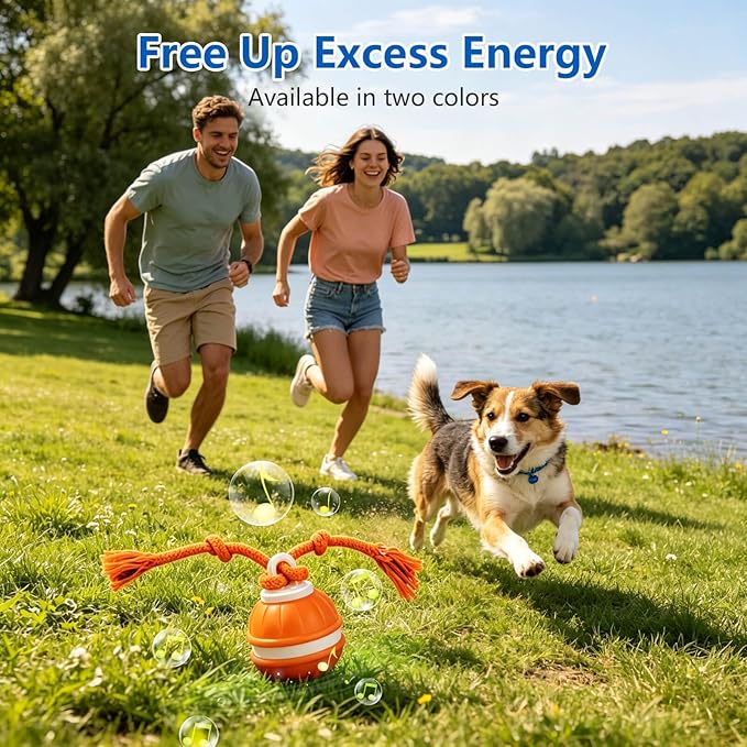 Interactive Dog Ball, 360° Self-Moving Dog Toy with LED Lights & Squeaker, Automatic Fetch Toy for Boredom & Training, USB-C Rechargeable Smart Pet Toy for Small Medium Dogs & Cats