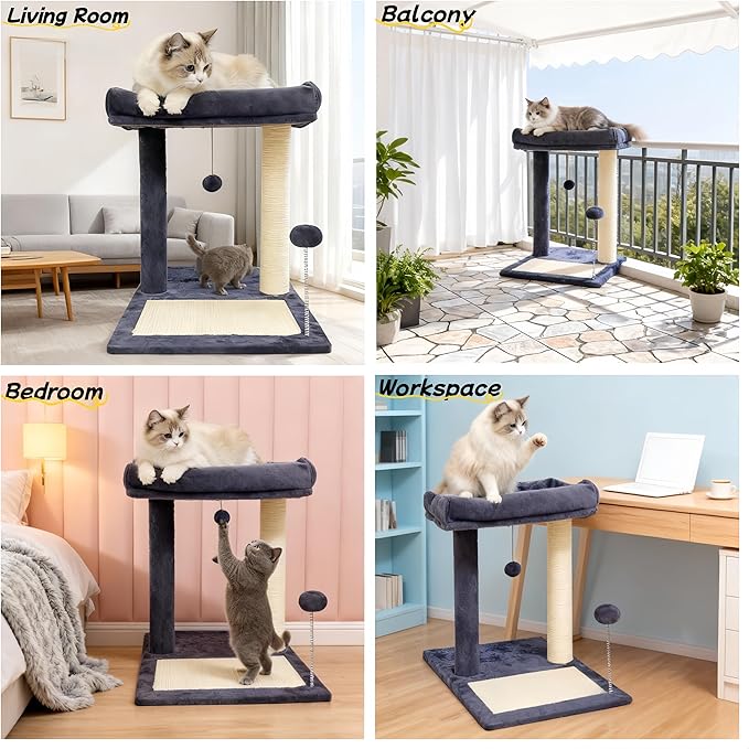 Cat Scratching Post, 19.69" H(50cm) Cat Tree with Cat Bed, Scratching Posts for Indoor Cats with Two Plush Balls Toy, Small Cat Tree for Kittens/Cats Playing and Relaxing (20 in Grey Cat Tree)